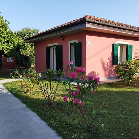 La Casina Villa Barga Ngoại thất bức ảnh
