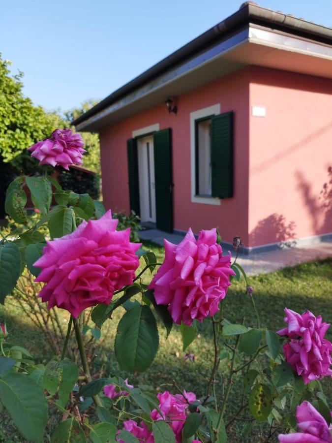 La Casina Villa Barga Ngoại thất bức ảnh